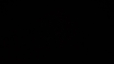 Meduelelavena webcam