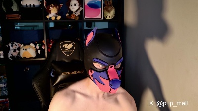 MellPUP live cam on Cam4