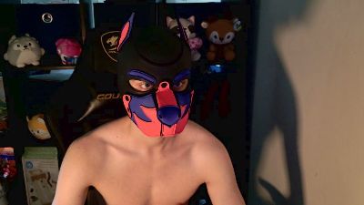 MellPUP live cam on Cam4