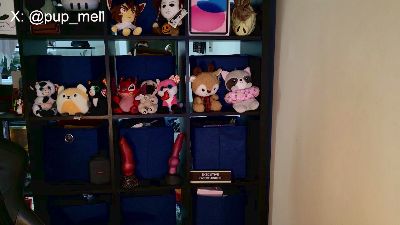 MellPUP live cam on Cam4