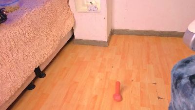 MelodyMartinez9 live cam on Cam4