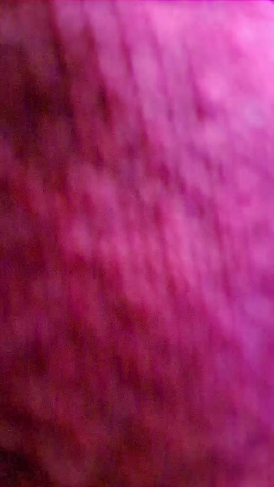 MermaidNTiger live cam on Cam4