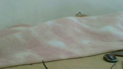 Miahhot live cam on Cam4