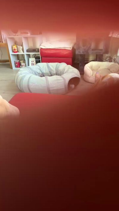 Milf21 live cam on Cam4