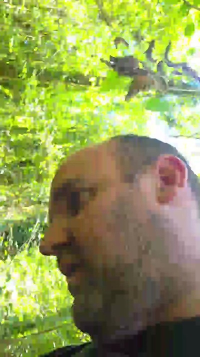 Mimideaube live cam on Cam4