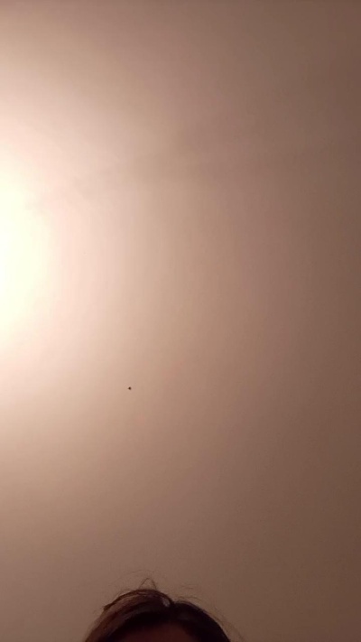 Missmyli live cam on Cam4