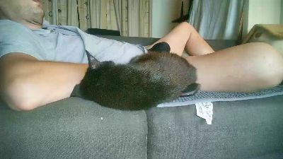 MisterT88 live cam on Cam4