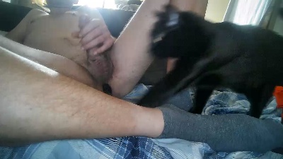 MisterT88 live cam on Cam4