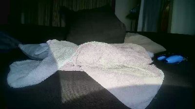 MisterT88 live cam on Cam4