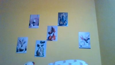 Mitia_01 live cam on Cam4