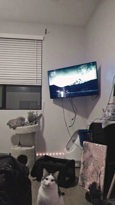 MizzMoist live cam on Cam4