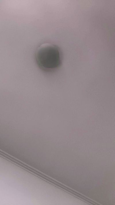 Monit4 live cam on Cam4