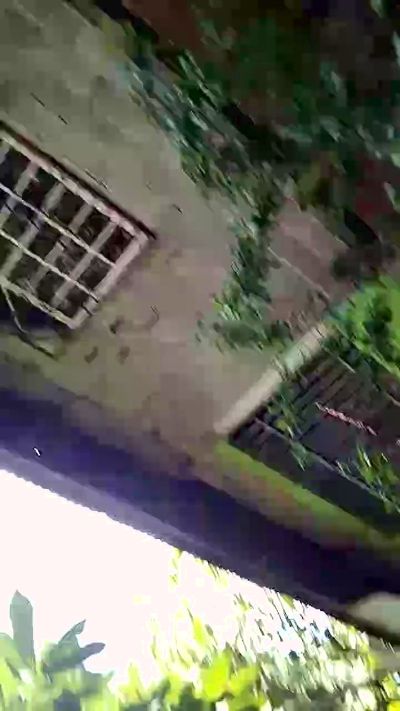 Morbo235 live cam on Cam4
