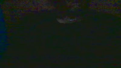 Morenochiler live cam on Cam4
