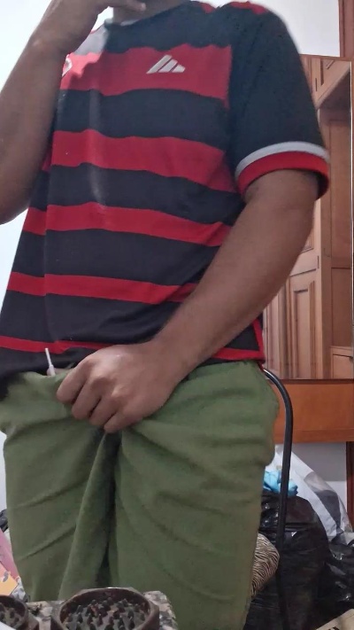 Morenogatorj99 live cam on Cam4