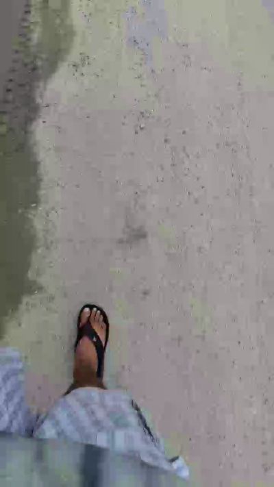 Morenogatorj99 live cam on Cam4