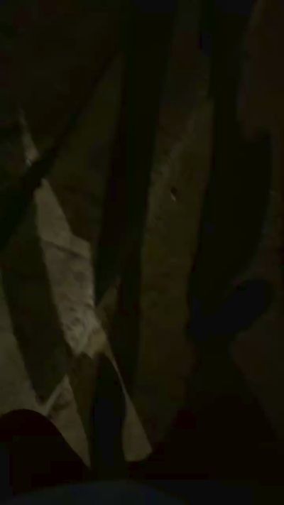 MrLupilu live cam on Cam4