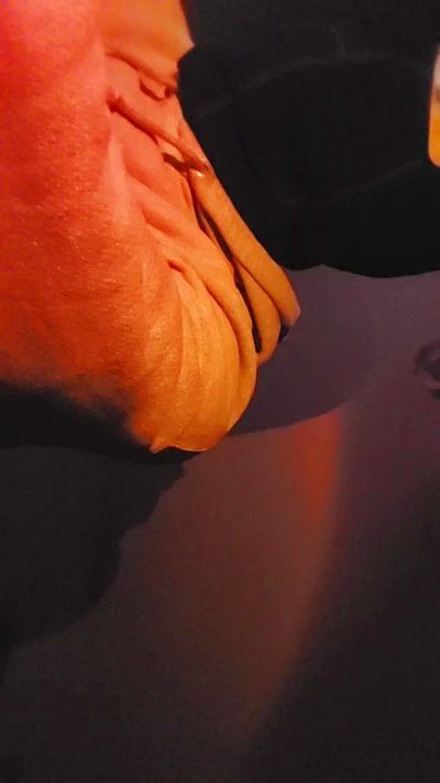 MrTrag0n live cam on Cam4