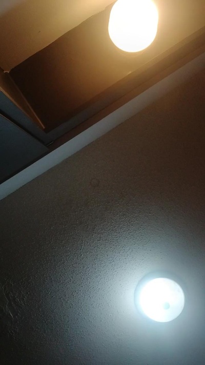 Mrfux0427 live cam on Cam4