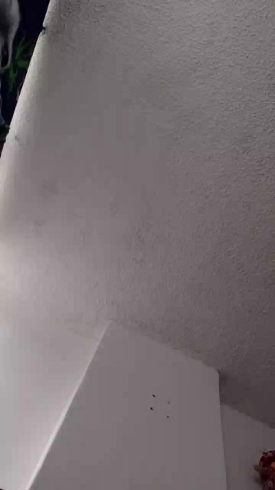 Ms_Meloddy live cam on Cam4