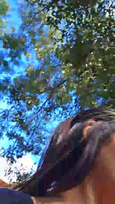 Mssady live cam on Cam4