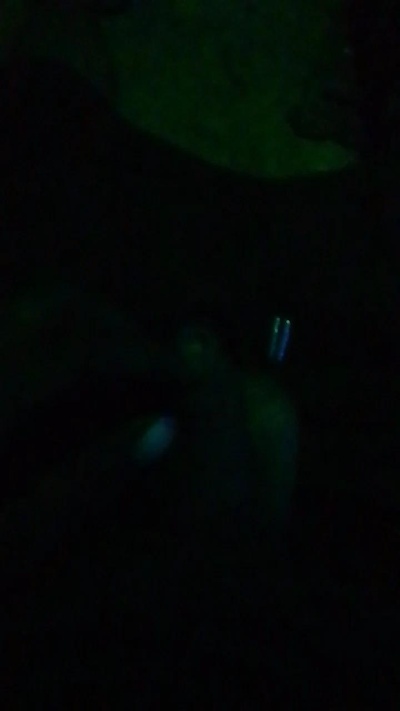 Profile and Statistics for MuertEll on Cam4