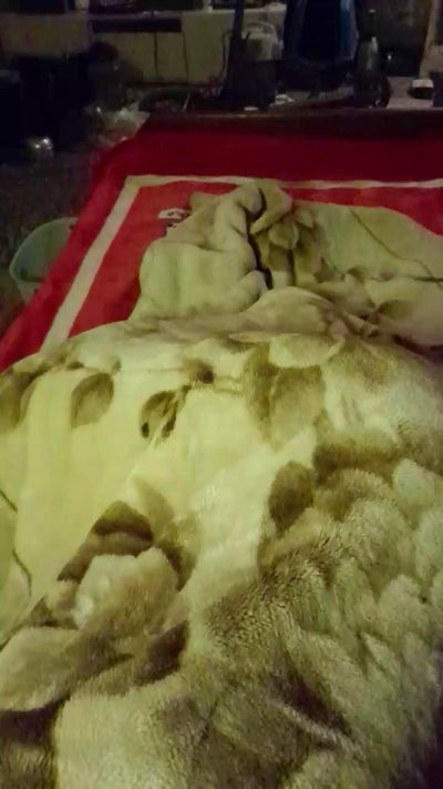 Myassforyou00 live cam on Cam4