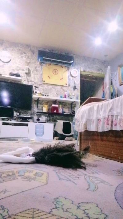 Myassforyou00 live cam on Cam4