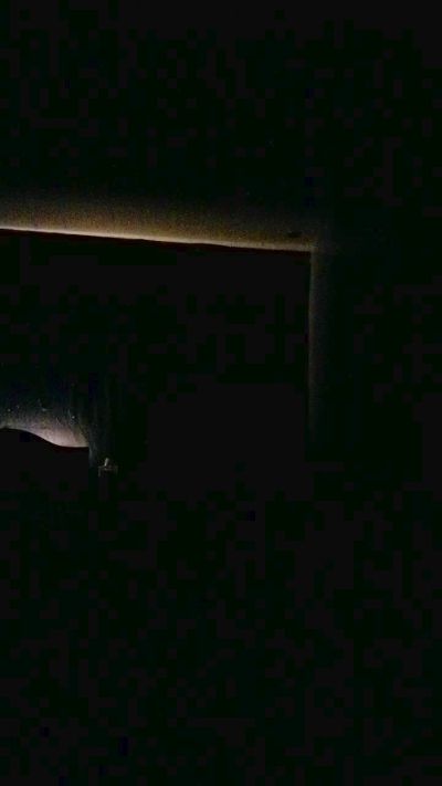 Myassforyou00 live cam on Cam4