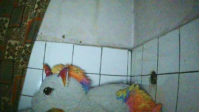 Nataach29 live cam on Cam4