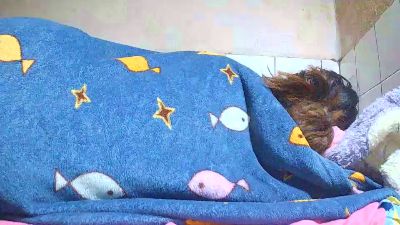 Nataach29 live cam on Cam4