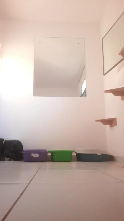 Nattalypimenta live cam on Cam4