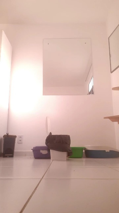 Nattalypimenta live cam on Cam4