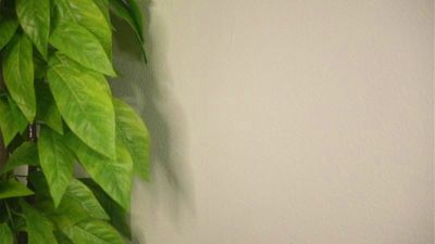 NeelyFleetwood Cam4 cam model