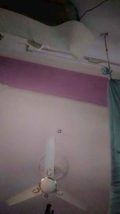 Neerajnk live cam on Cam4