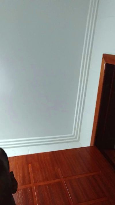Negaodorio21 live cam on Cam4