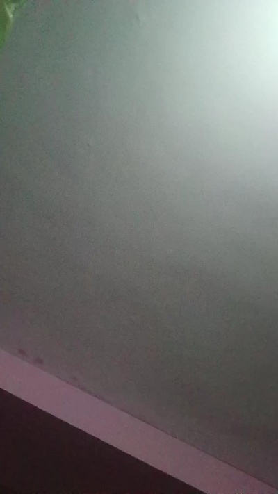 Nereitatenn1 live cam on Cam4