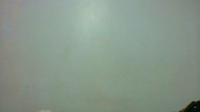 Nicely_spiced live cam on Cam4