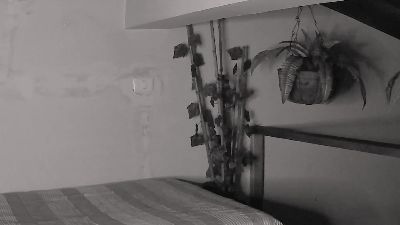Nicolasrodrii live cam on Cam4