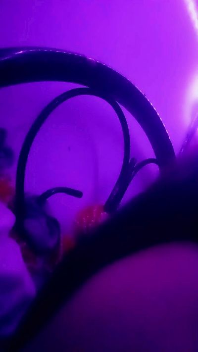 Nilaceron1 live cam on Cam4