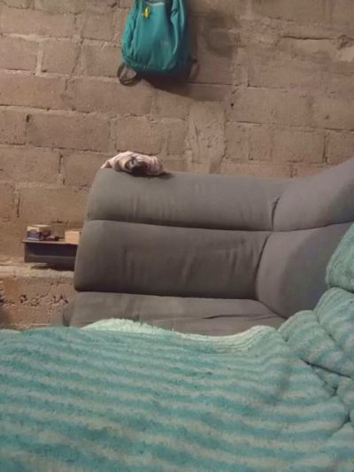 NinphGraceX live cam on Cam4