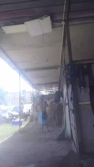 Noisoli live cam on UnifiedCams