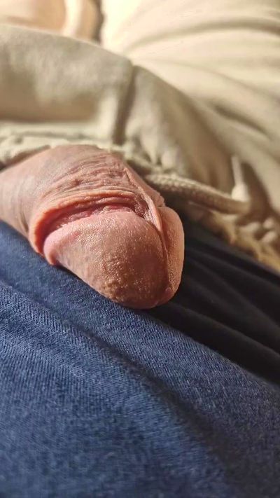 Noloso26 live cam on Cam4