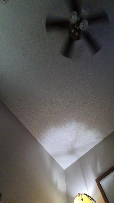 Notshyguy live cam on Cam4