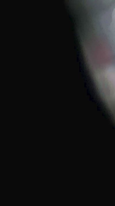 Novin_021h live cam on Cam4