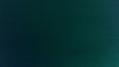 Nyctalus live cam on Cam4