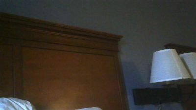 OGTattedRhino69 live cam on Cam4