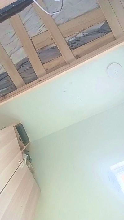 ORtymD live cam on Cam4