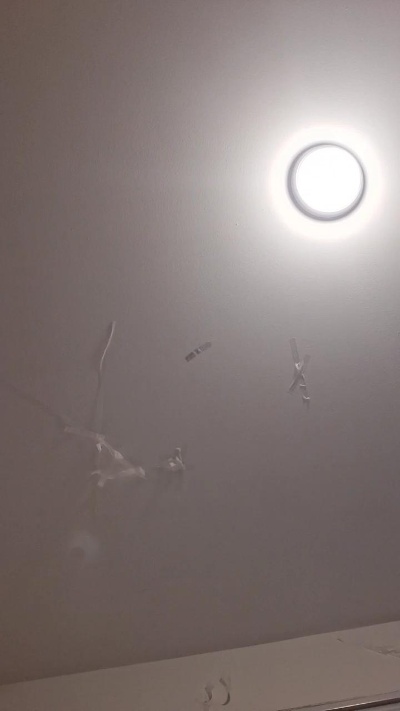 Ogliltias live female webcam from United States