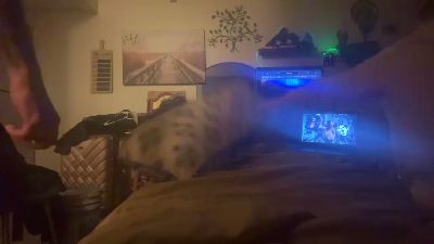 Ohiolovers live cam on Cam4